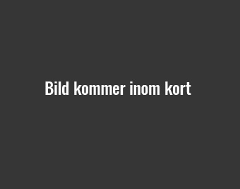 Anders Bergström